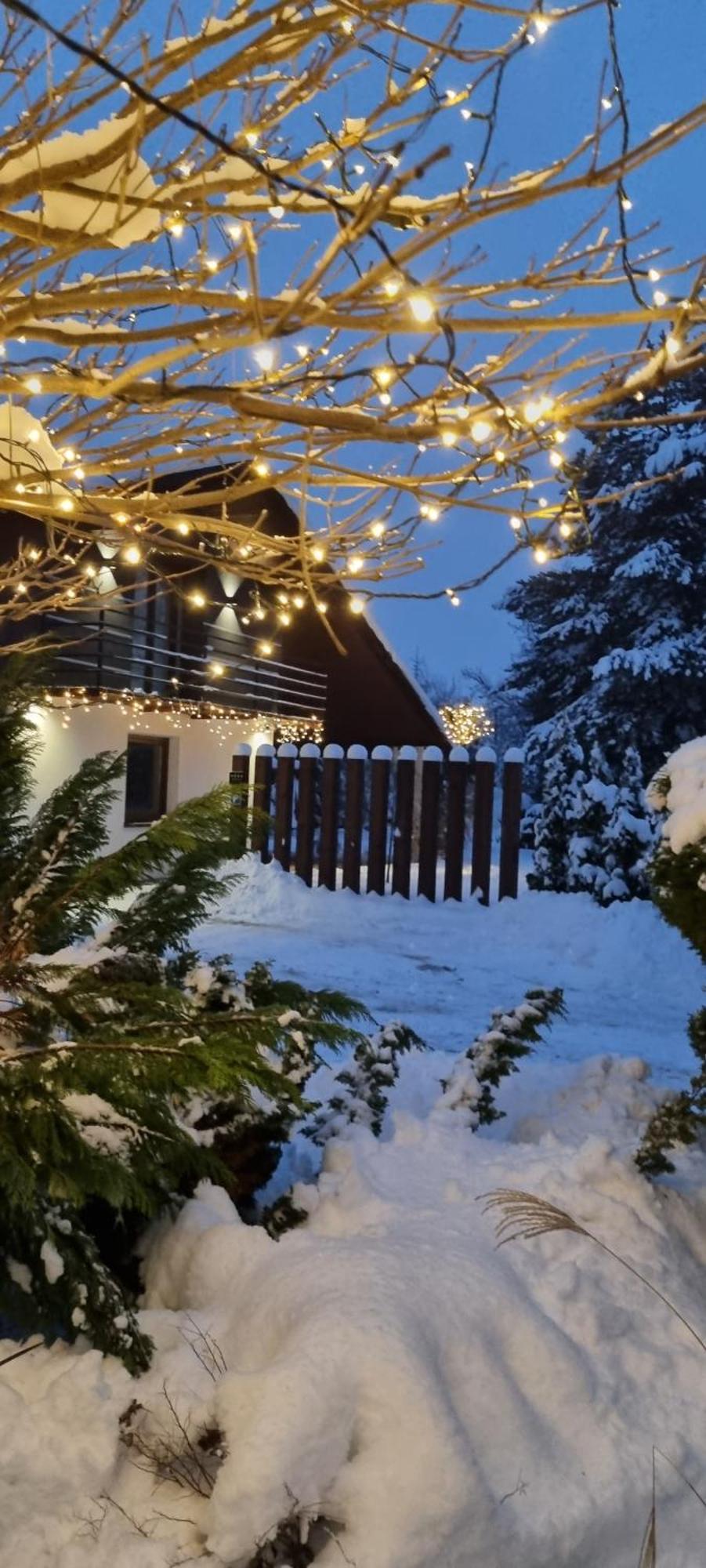 Apartament Willa Pod Sosnami Zator Przeciszow Esterno foto